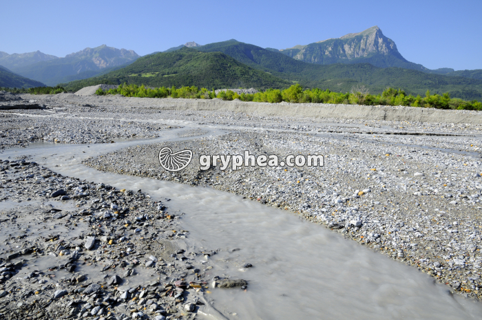 Transport et dépôt de sédiments - gryphea.org